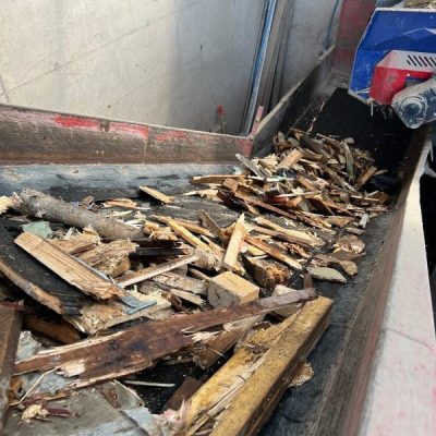 Wood on conveyor belt Timber on conveyor belt being processed